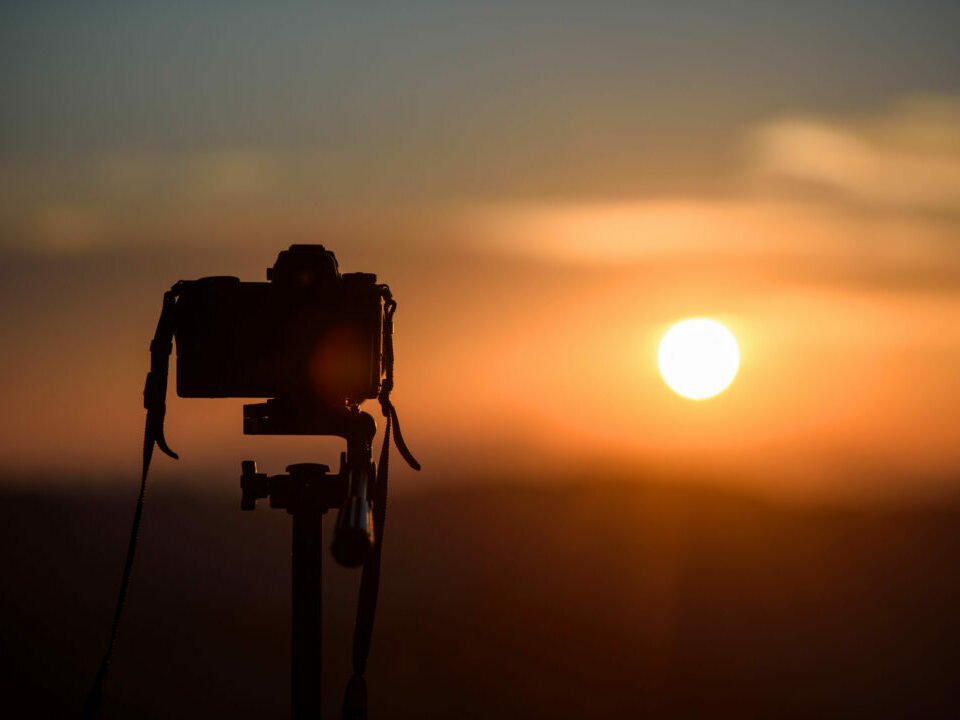 Divulgación, Gestión, Consultoría.